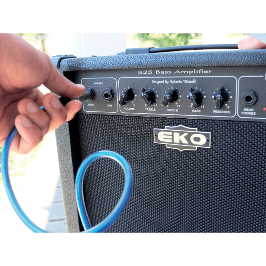 B 25 by Eko Guitars | 25W Bass Guitar Amp