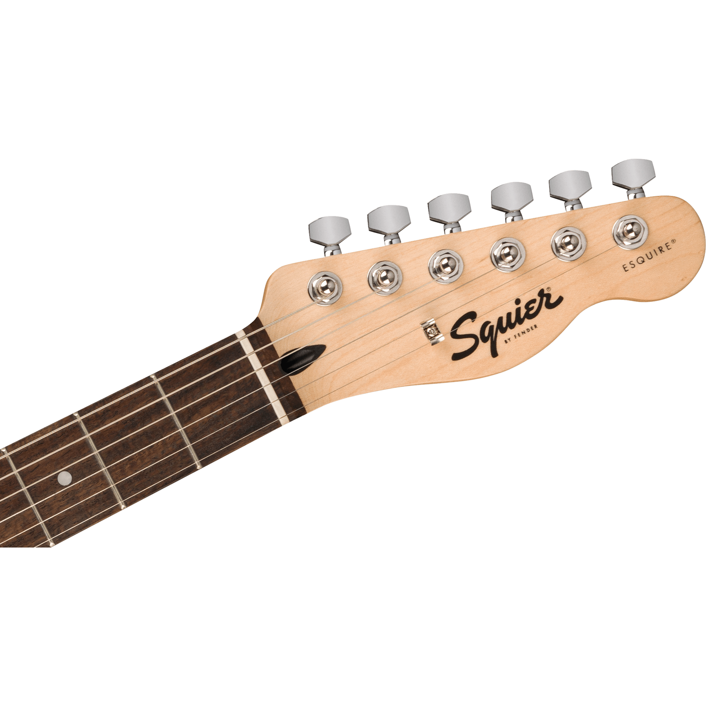 Squier Sonic Esquire H Electric Guitar | Laurel Fingerboard | Black Pickguard | Ultraviolet