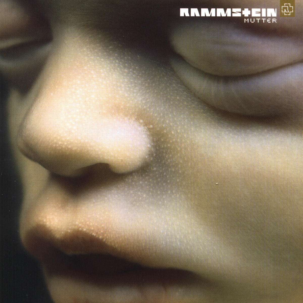 Rammstein: Mutter | Remastered | 180g | LP | 2-Vinyl Records