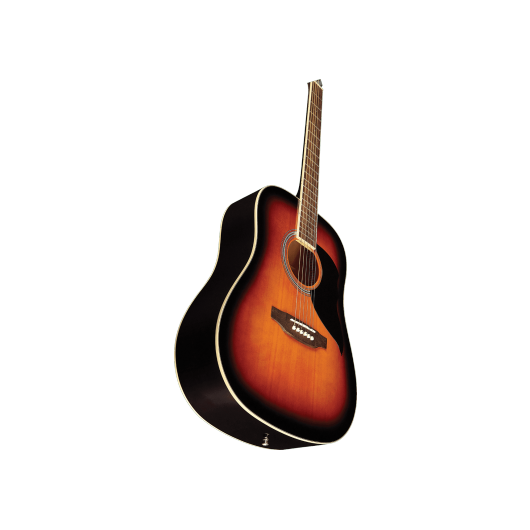 Ranger 6 Brown Sunburst by Eko Guitars