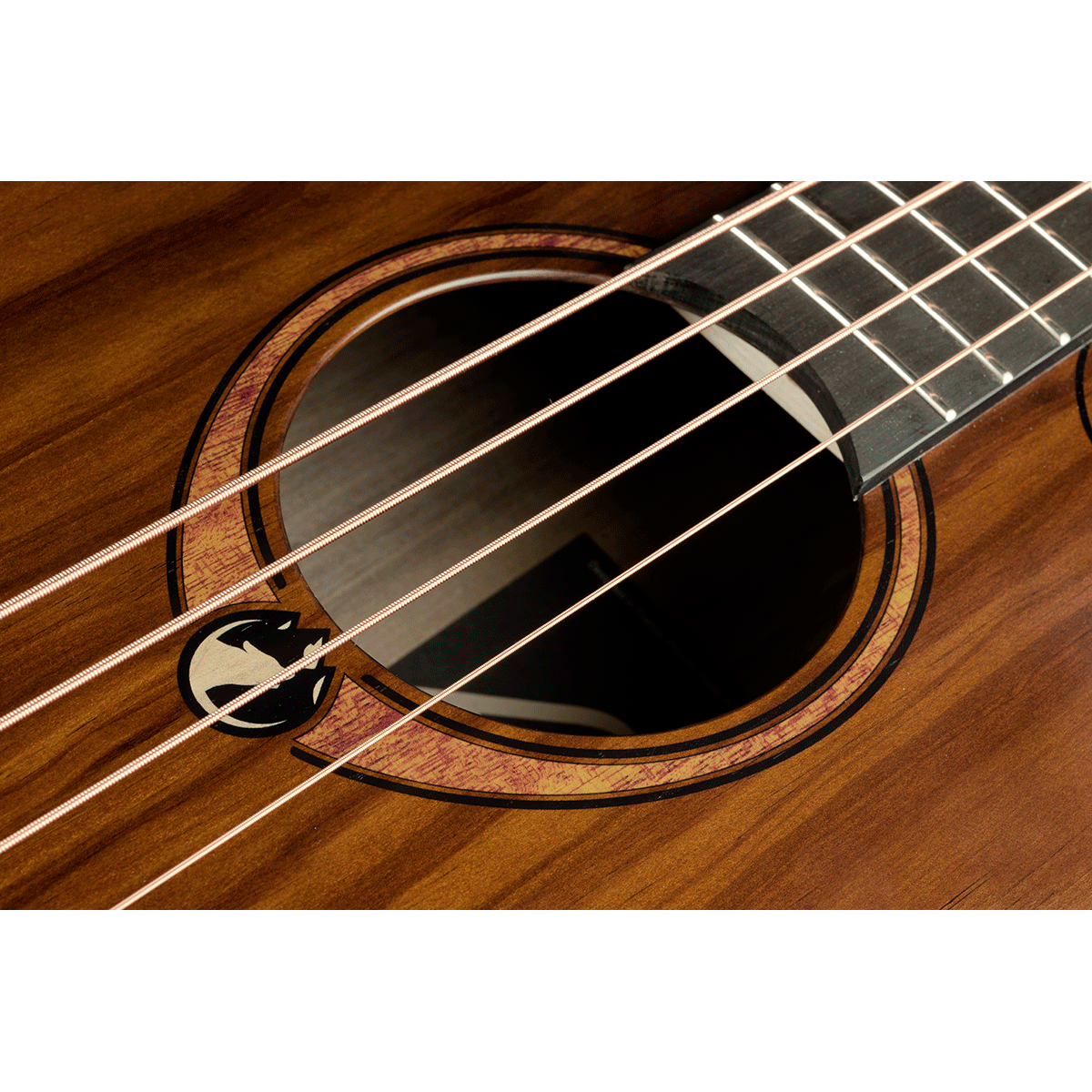 Lag Sauvage-BCE Jumbo Electro Acoustic Bass Guitar with Cutaway | Includes a Soft Case