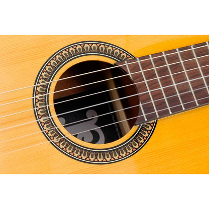 Pleyel P100 Classical Guitar | Spruce Top | 4/4 | Natural