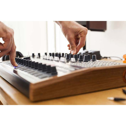 MiniBrute 2S by Arturia | Analog sequencer-synth with comprehensive modular patchbay with included software