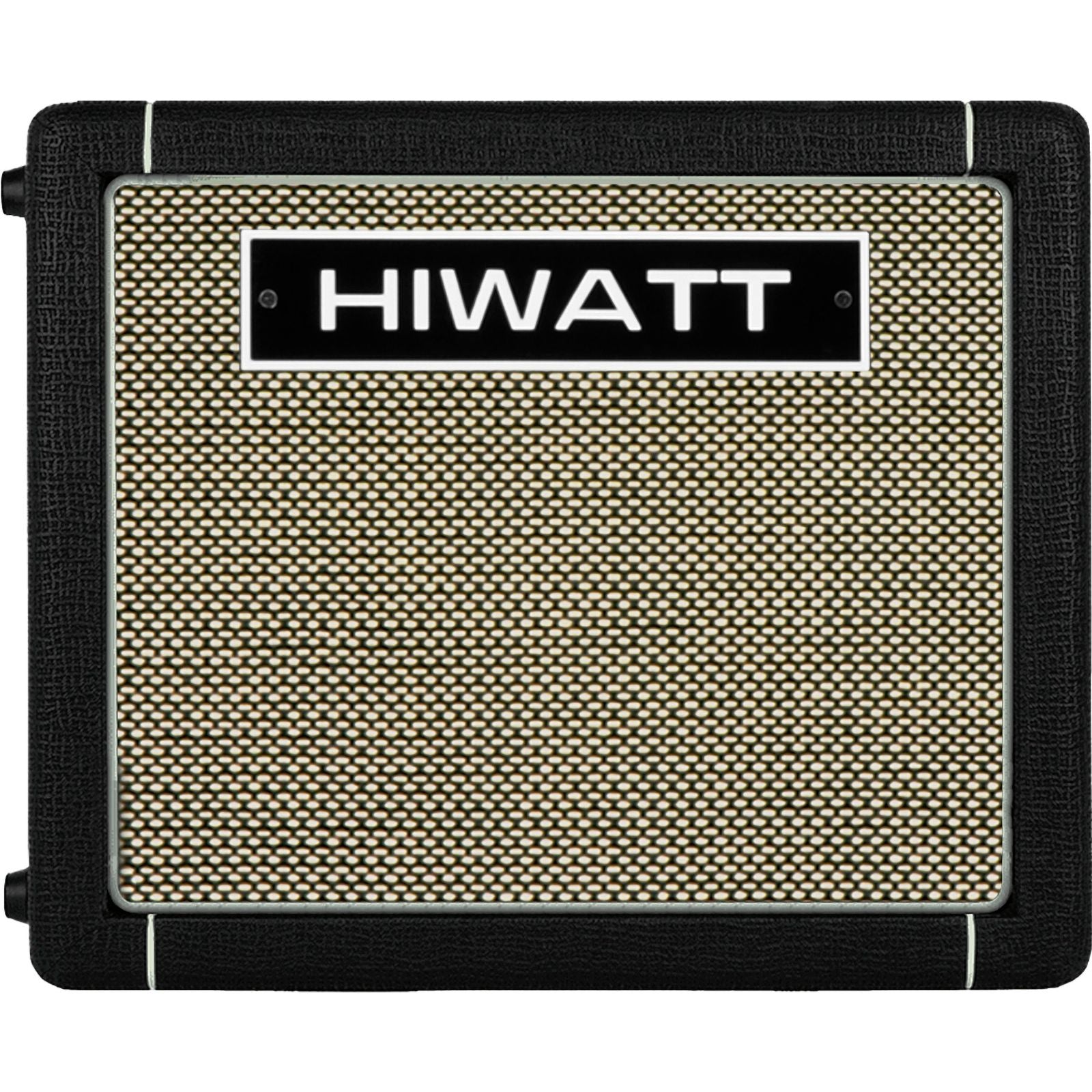 Hiwatt Leeds GO40C Acoustic Guitar Amplifier | 40W 2-Channel Combo Amp | Built-In Battery
