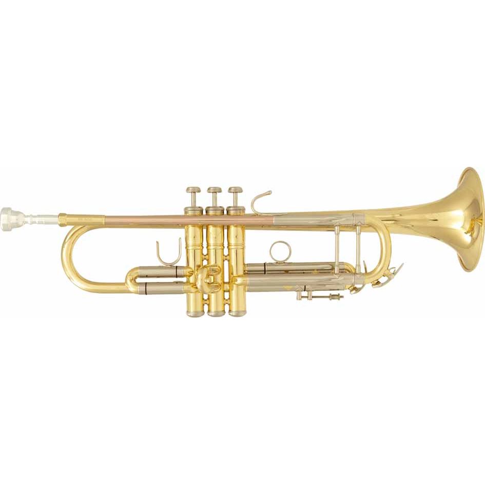 Bb Goldlacquered Trumpet for beginners by SML Paris | TP500